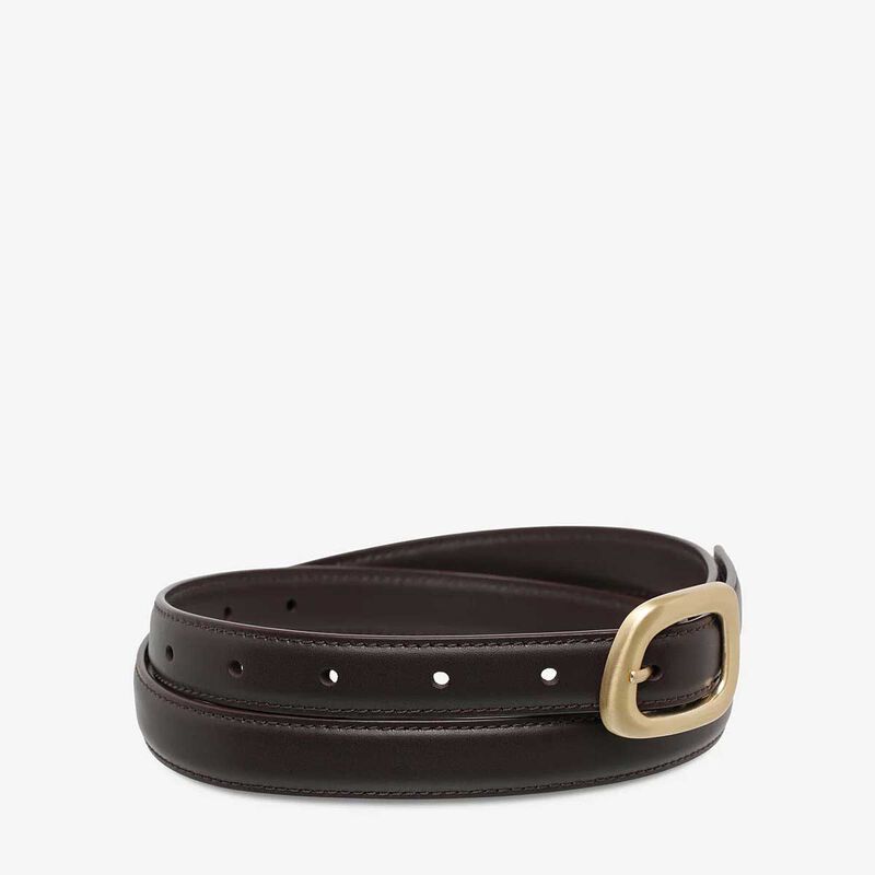Status Anxiety Where It Leads Belt image number 2